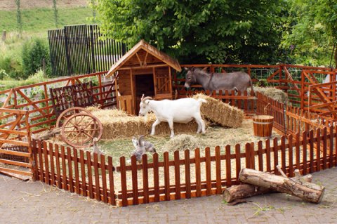 Mobiele Kinderboerderij te boeken bij www.kwekel-evenementen.nl