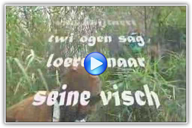 t Wesen van Saeftinghe te boeken bij www.kwekel-evenementen.nl