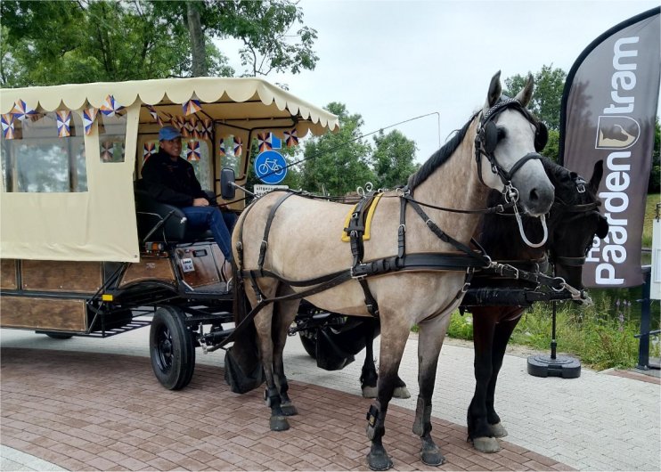 Paardentram huren bij www.kwekel-evenementen.nl