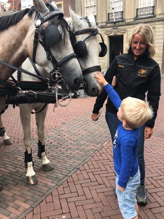 Paardentram huren bij www.kwekel-evenementen.nl